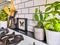 Black and white subway tiled kitchen with numerous plants and framed taxidermy insect art