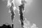 Black And White Of Sugarcane Refinery Smoke Pollution