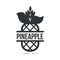 Black and white symmetric graphic pineapple logo template