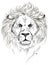 Black and White Tattoo Lion Illustration isolated