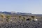 Black and white tents in Hamada du Draa (Moroccan stone desert,