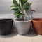 Black white terakota decorative plant pots to decorate homes and outdoor gardens