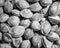 Black and white texture of a pile of apricot kernels in the shell. Background of healthy plant vegan food. Nuts.