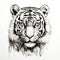 Black And White Tiger Head Drawing With Bold Defined Lines