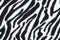 Black and white tiger stripe fabric background