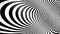 Black and white torus optical illusion