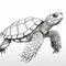 Black And White Turtle Drawing Vector - Moebius Style