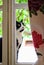 Black and White Tuxedo Cat Peering in Window with Flowered Curtain