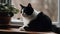 A black and white tuxedo cat perched on a side table created with Generative AI