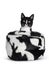 Black white tuxedo cat on white background