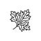 Black & white vector illustration of parsley leaf. Line icon of