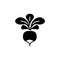 Black & white vector illustration of radish root with leaves. Sa