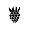 Black & white vector illustration of raspberry. Flat icon of fresh berry with leaves. Vegan & vegetarian food. Health eating