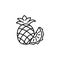 Black & white vector illustration of whole pineapple & slice. Li