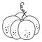Black and white vector pumpkin. Outline autumn vegetable. Line style squash. Funny veggie illustration or coloring page isolated
