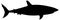 Black and white vector silhouette of an adult shark.