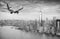 Black and white view of airplane over New York City. Tourism con