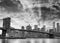 Black and white view of Brooklyn Bridge and Downtown Manhattan a