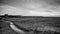 Black And White Walking Trail Leads To A House By The Grass Field On The Horizon In The Storm In Long Beach Washington