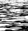 Black and white water waves grunge texture PNG file format .