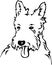 Black and White West Highland Terrier Illustration