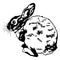 Black and White Wild Rabbit Vector Illustration