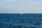 Black and White Yacht on Horizon