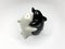 Black and white yin yang dolphin shaped salt and pepper shakers hugging each other