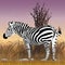 Black and white zebra vector in the bush with sunset in the background