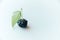 Black whole raw ripe blackberry with green leaf on white paper