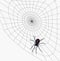 Black Widow Spider on Web - includes clipping path