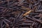 Black wild rice