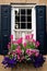 Black Window Shutters with Blooming Flowers