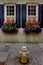 Black Window Shutters, Spring Flowers and Yellow Fireplug