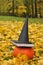 A black witch hat and a book in a black jacket placed on a large pumpkin against the scenic background