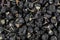 Black wolfberries or black goji berries texture background