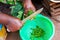 Black woman hands cutting lettuce while cooking traditional african dish with african dress