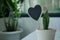 Black wooden heart board in small pootted plant with cactus, empty card