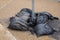 Black woven plastic bags filled with asphalt slag supporting the base of a temporary street sign, aggregate sidewalk