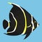 Black and yellow angelfish vector icon on a blue background. Ocean fish illustration isolated on blue. Exotic fish realistic style