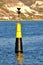 Black and yellow buoy on the Black Sea