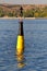 Black and yellow channel marker