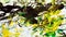 Black yellow green contrasts, paint watercolor background, abstract painting watercolor background