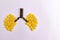 Black and yellow herbal tablets in a lung shape on white background with copy space. Respiratory medicines concept