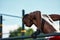 Black young man exercising on the uneven bars in the park, crossfit concept, african american man doing exercises on the