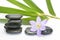 Black zen stones with bamboo en crocus on empty white background