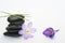 Black zen stones with bamboo en crocus on empty white background