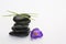 Black zen stones with bamboo en crocus on empty white background