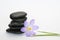 Black zen stones with bamboo en crocus on empty white background