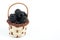 Blackberries basket